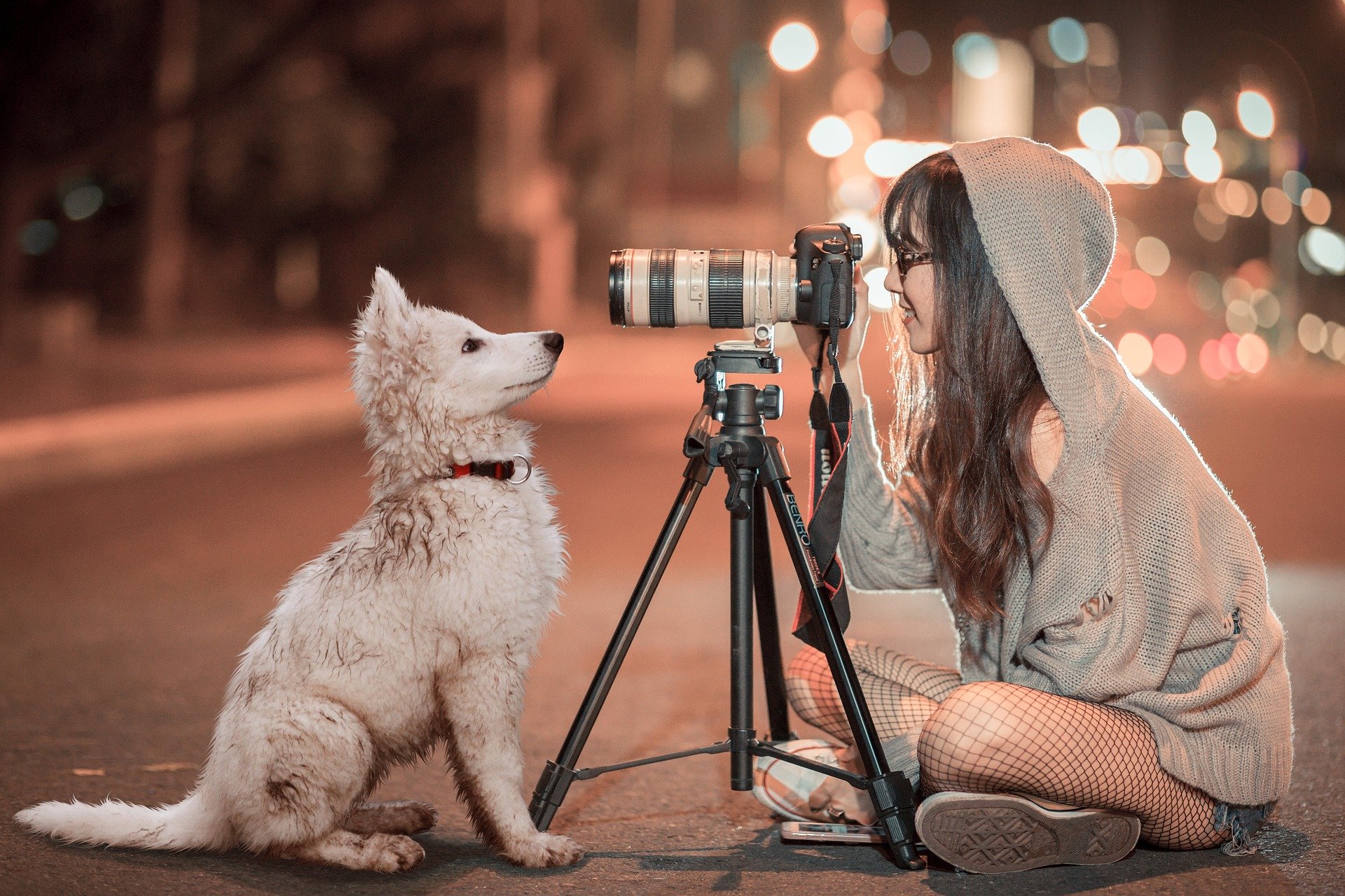 photographie